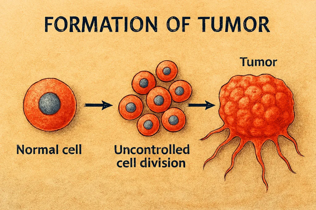 ¿Qué es el cáncer? Definición, causas y cómo se desarrolla en el cuerpo